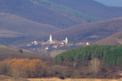 bukkzserc_6_20110903_2014335311